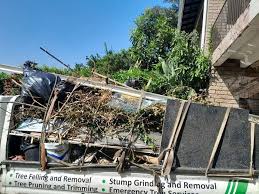 Best Retail Junk Removal in Minturn, CO